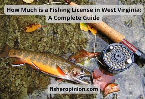 How Much Is a Fishing License in West Virginia, and Why Do Fish Always Seem to Know When You're Out of Bait?