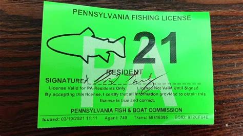 How Much Is It for a Fishing License, and Why Do Fish Always Seem to Know When You’re Out of Bait?