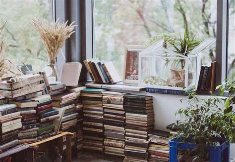 How to Store Books in a Small Space: And Why Your Cat Might Be the Best Librarian