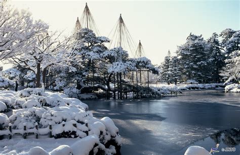   Kenroku-en: En flytande dröm i en japansk vinterträdgård!