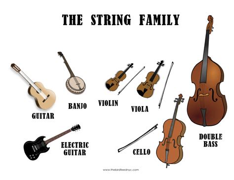 What Instrument Family is the Guitar In? And Why Does It Sometimes Feel Like It Belongs in a Rock Band?