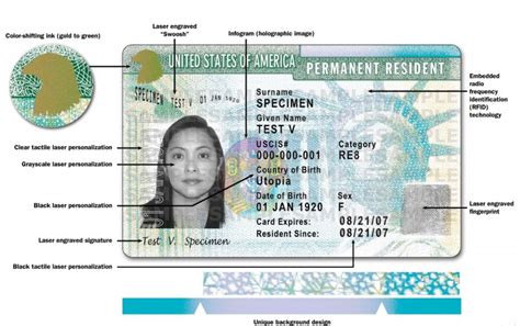 What is your travel document number? Exploring the Intricacies of Identification in a Globalized World